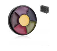 Halloween Professional Non Toxic 6 Color Bruise Wheel Special Effects SFX Zombie Makeup Kit