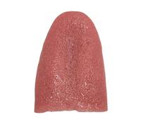 Halloween Simulation Tongue Prop - Elastic Realistic Trick Decoration Accessory, Funny Magician Performance Toy | For Haunted Houses Costume Gatherings Carnival Stage Entertainment Activities Uses
