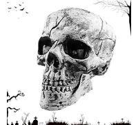 Halloween Skeleton Hands Stakes - Realistic Skull & Skeleton Yard Decorati