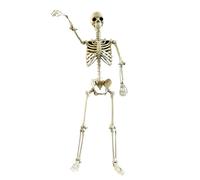 Halloween Skeleton, Lifelike Figure, Adjustable Joints, Build, Weatherproof Finish, Displays Eerie Mood, Elegant Outdoor Decor, Exclusive Photo Prop, Refined Mechanics.