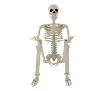 Halloween Skeleton - Movable Joints 90cm Realistic Skeleton Decorations