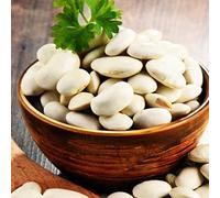 Haloppe 20 piezas semillas de verduras de frijol blanco para plantar en el jardín del hogar, semillas de frijol blanco regalo planta creciente mensaje pintura palabra