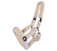 Halter QHP Alaska Full