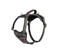 Arnés de Perro HALTI Anatomy con asa - Proporciona Libertad de Movimiento a tu Perro para Que pasee cómodamente. 3 Puntos de Enganche y Acolchado de Neopreno, Ajustable y Reflectante (Talla M, Gris)