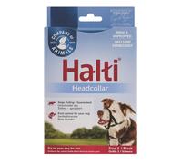 Halti Talla 2 negro