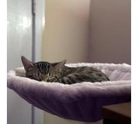 Hamaca ajustable con ventana para gatos, cama para mascotas montada en el escritorio (gris, estilo básico de felpa)