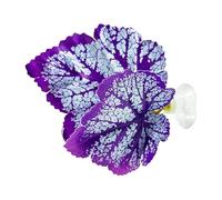 Hamaca Betta Bed Leaf - Material PP, Cama Flotante, Lugar de Descanso para Peces decoración de paisajes acuáticos, Descanso de Lucha y diseño de Movimiento de Agua.