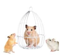 Hamaca de Animales pequeños, Juguetes de jerbo de Hierro, de casa, para Dormir, Suministros para Mascotas para Animales pequeños, Ardilla, Enano, Conejos, Deslizador de azúcar