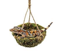 Hamaca de Dragón Barbudo - Juguete Colgante De Enriquecimiento Del Hábitat - Hamaca Trepadora De Dragón Barbudo,Dirigido a razas pequeñas y medianas: los lagartos, gecko leopardo. Descansar, jugar y t