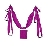 Hamaca de yoga aéreo, juego de columpio con bolsa de almacenamiento, mosquetones, manual de usuario (idioma español no garantizado), kit de iniciación para todos los niveles