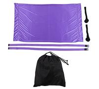 Hamaca de yoga Panal Dividing Entrenamiento Elástico Aerial Aerial Hammock Home Gym, algodón de poliéster transpirable (Púrpura)