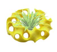 Hamaca para Betta Base Plana Porosa, Hueco Decorativo | Decoración Acuario, Cueva Refugio de Gambas para Acuario, Terrario, Paludario, Vivario, Oficina, Hogar