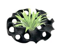 Hamaca para Betta Hueco Impreso en 3D con Base Plana como Lugar de Descanso | Cueva de Gambas Refugio, Decoración y de Acuario Acuario, Terrario, Paludario, Vivario, Oficina, Hogar y Salón de Esta