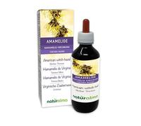 Hamamelis de Virginia o Avellano de bruja (Hamamelis virginiana) hojas Tintura Madre sin alcohol Naturalma - Extracto líquido gotas 200 ml - Complemento alimenticio - Vegano