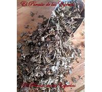 Hamamelis Hojas 500 grs - Avellano de Bruja Planta Natural 100 %