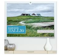 Hamburger Hallig - Der Weg ist das Ziel (hochwertiger Premium Wandkalender 2026 DIN A2 quer), Kunstdruck in Hochglanz: Die Hamburger Hallig - Weite, ... Naturraum mitten im Nationalpark Wattenmeer.