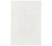 HAMID Alfombra Nansa Interior/Exterior Pet Reciclado - Lavable y Resistente al Agua - Ecológica y Sostenible - Ideal para Terraza, Jardín o Salón (350x240cm, Marfil)