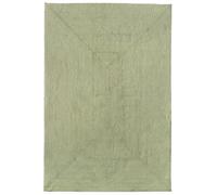 HAMID Alfombra Nansa Interior/Exterior Pet Reciclado - Lavable y Resistente al Agua - Ecológica y Sostenible - Ideal para Terraza, Jardín o Salón (170x120cm, Verde)