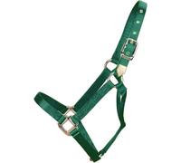 Hamilton 1-Inch Nylon Horse Halter, 800 to 1100-Pound, Dark Green