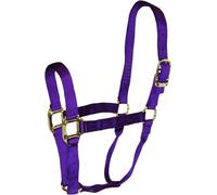 Hamilton 1 Nylon Calidad Caballo Halter