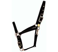Hamilton 3/4-inch Nylon Caballo árabe Cabestro con Barbilla Ajustable y Garganta Snap