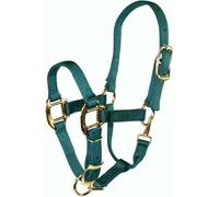 Hamilton Cabestro de destete de Calidad Ajustable de 3/4 Pulgadas con Broche, Caballo de 200 a 300 Libras, Verde Oscuro