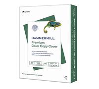 Hammermill Papel de alta calidad para copiar papel de 8,5 x 11, tamaño carta, papel de 86,3 kg, 100 brillantes, 1 paquete / 250 hojas (120023R) papel pesado, cartulina blanca