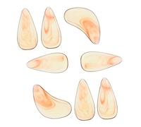 HAMPPLIES 8 Piezas Guzheng Finger Picks Large Durable Smooth Rounded Finger Nail Protectors For Adults Professional Playing