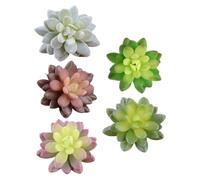 HAMPPLIES de Plantas Suculentas Falsas Verdes 5 Piezas para Fotografía Estructura de Varilla de PVC y PE Decoraciones Realistas y Proyectos de Manualidades
