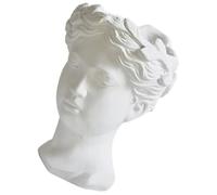 HAMPPLIES Jarrón de Resina Estatua de Cabeza para Arreglo Floral y Decoración Interior Elegante y Creativa Hogar