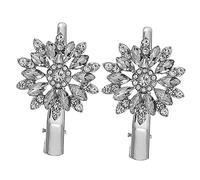 HAMPPLIES Pasador Pelo Flor De Cristal 2 Unidades Tamaño Mediano Pinza Metálica Plateada Para Mujer y Niña Fiesta Boda Diario Accesorios De Cabello