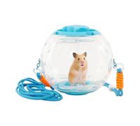 Hamster Ball Clear Portable Large Silent Running Toys