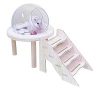 Hamster Bath Tub, With Enhanced Visibility Design, 15x12x7cm, Hámster Sand Bath Box With Ladder, Hamster Cage Accessories, Enhanced Hygiene Feature, For Gerbil Bunny Hedgehog Cage Grooming Digging