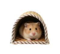 Hamster Bed, Cooling Breathable Woven Pet Tunnel, Small Animal Shelter For Gerbil Bunny Ferret Hedgehog Chinchilla Guinea Pig Cage Enclosure Indoor Habitat Home Rest Sleep Play Use