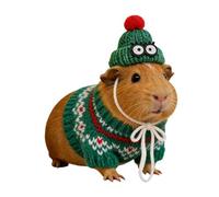 Hamster Clothes - Sudadera con capucha para mascotas, ropa de punto animal, para Gerbil Guinea Hamster Ferret Bunny Chinchilla Hedgehog