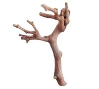 Hamster Enrichment Toys | 5.9in Funny Enrichment Wooden Branches