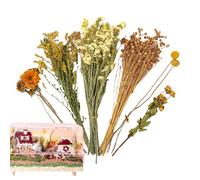 Hamster Flower Bedding - Absorbent Dust Free Litter for Small Pets | Safe and Comfortable Nesting Material for Hamsters, Gerbils, Mice, Rabbits, and Other Cage Animals with Odor Control 9.84 in