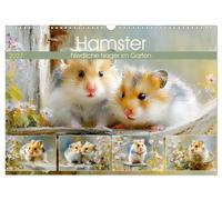 Hamster. Niedliche Nager im Garten (Wandkalender 2027 DIN A3 quer), CALVENDO Mon
