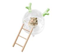 Hamster Sand Bath Box, Clear Pet Container, Small Animal Sand Bath, Detachable Cleaning Design, Shower Digging Room, Hamster Bathing Box, Gerbil Sand Bath Container, Durable Pet Bath Box, Spacious San