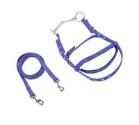 Hamwesh Cabestro de Cuerda para Caballo, Brida Ecuestre Ajustable, Cabezal de Nailon con Rienda, para Entrenar y Montar (S 10x25cm/3,94x9,84 Pulgadas)