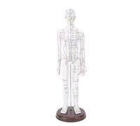 Hamwesh Modelo de Acupuntura de 20,47 Pulgadas, maniquí de Punto de Acupuntura Humana, Modelo de Cuerpo Humano de PVC de Cuerpo Completo, Modelo Educativo de Práctica Humana para (Tipo de mujer)