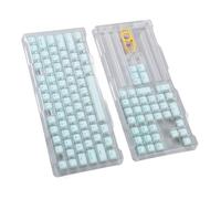 Hamwesh PBT KeyCaps, 113 Teclas Original con Extractor de Teclas para 61 64 68 72 82 84 87 104 108 Tecillos Mecánicos Mú Minimalista Estilo (Verde Menta)