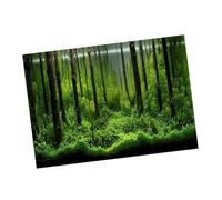 Hamwesh Póster de Tanque de Peces Impermeable, Fondo de Acuario (122*46cm) | Papel decorativo subacuático de PVC, resistente a la decoloración, para estética de peceras