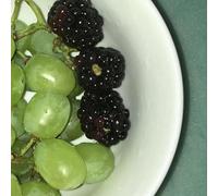 Hana Vu - How Many Times Have You Driven by/EP/Coke Clear Vinyl [Vinilo]