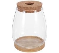 HANABASS Jarrón de Propagación de Vidrio Grande para Hidroponía 2 Unidades con Tapón Perforado y Base de Bambú, Recipiente Transparente para Cultivo Hidropónico de Plantas de Interior