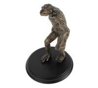 HANABASS Material Didáctico sobre La Evolución Humana Figura De Acción De Gorila Cavernícola Orangután Decoración De Escritorio Estatua De Mono Juguetes Educativos Juguetes De