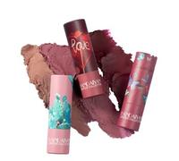 HANDAIYAN - Soft Velvet Lipstick - 8 Colors 06# Brick Red - 3.8g