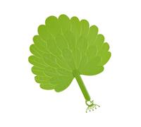 Handheld Portable Fan, Tail Shape Cooler, Personal Travel Breeze Device