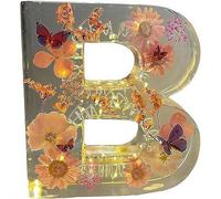 Handmade Floral Resin Night Light, Natural Pressed Flower Letter Lamp, Real Dried Flowers Initial Lights, DIY Floral Letter Name NightLight, Unique Gifts for Birthday Anniversary (Mix color B)