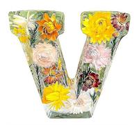 Handmade Floral Resin Night Light, Natural Pressed Flower Letter Lamp, Real Dried Flowers Initial Lights, DIY Floral Letter Name NightLight, Unique Gifts for Birthday Anniversary (Mix color V)